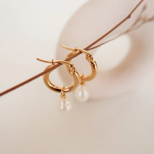Hoops 2.0 - image