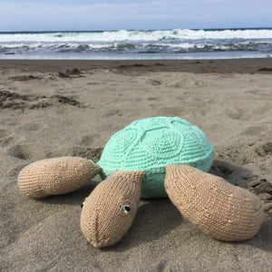 Turtle - image