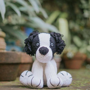 Spaniel Puppy - image